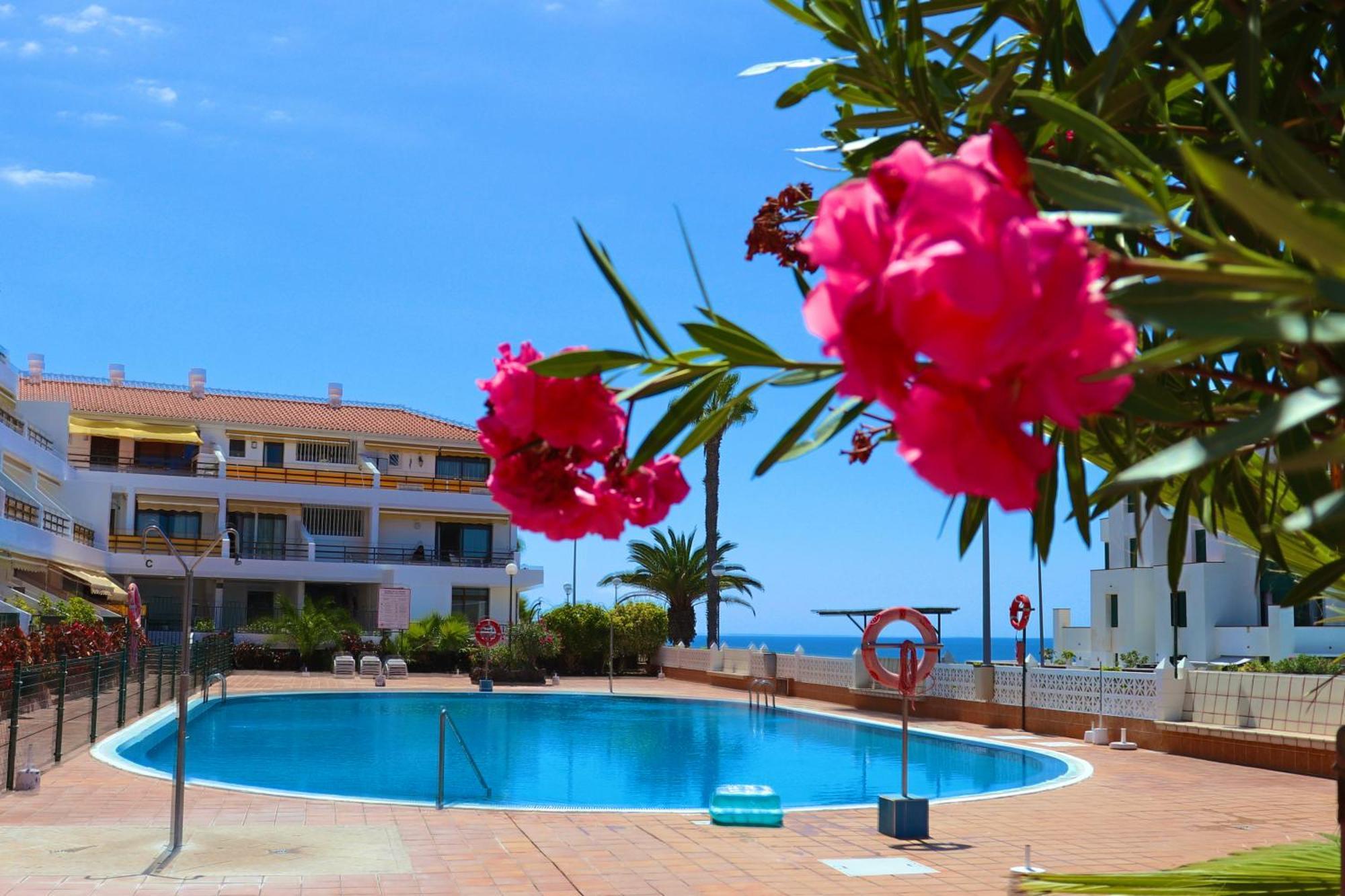 Sunflower Apartment Just Relax Puerto de Santiago (Tenerife) Exterior foto